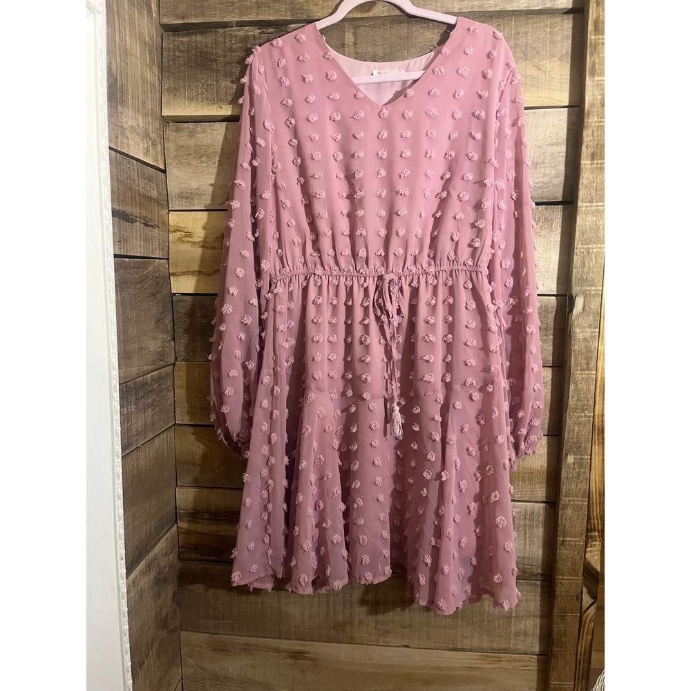Kirundo Womens Pink Swiss Dot Long Sleeve V-Neck Mini Dress Tassel Waist Large